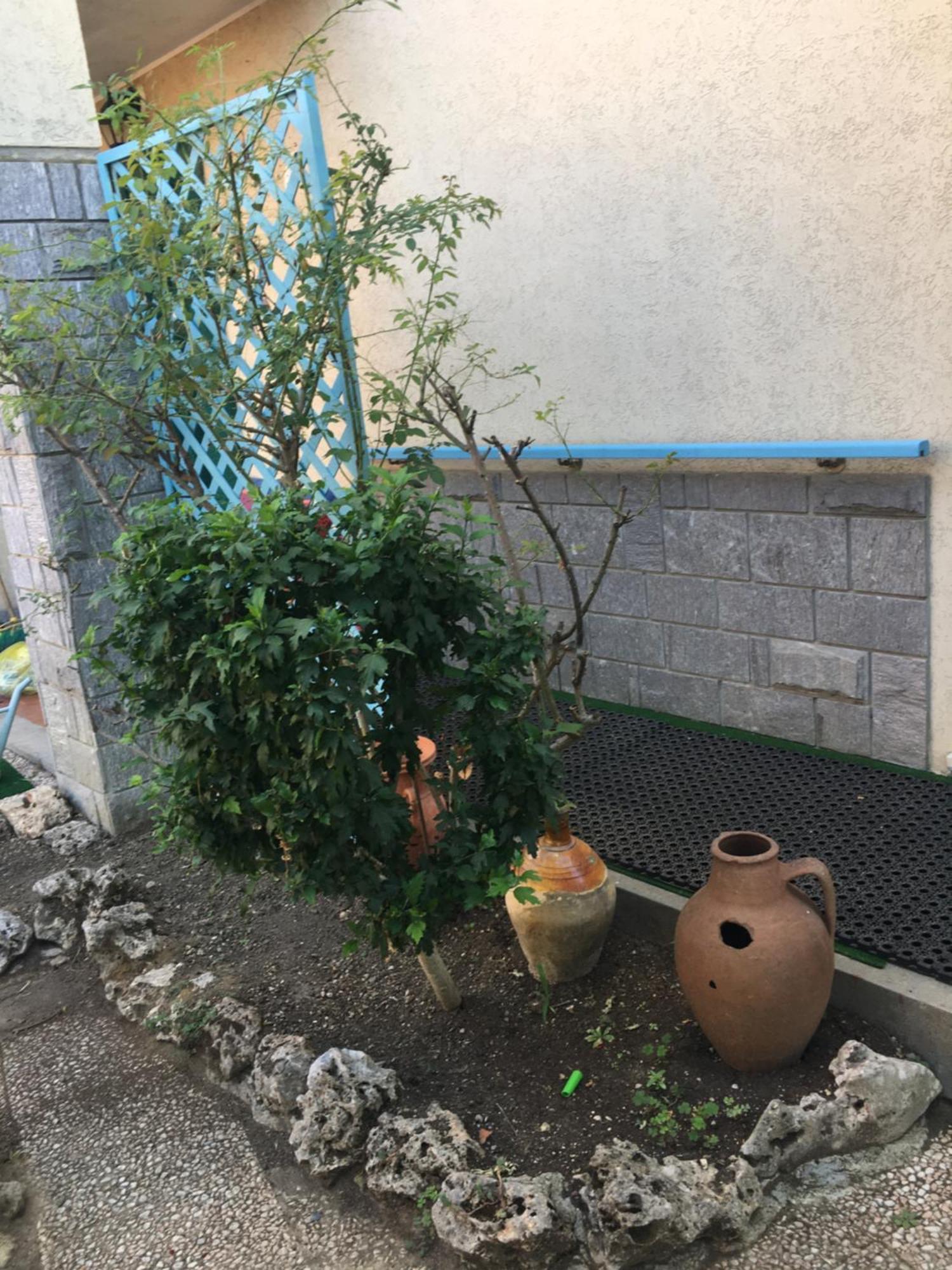 Ferienwohnung Lerosedimiamamma Cassine Exterior foto